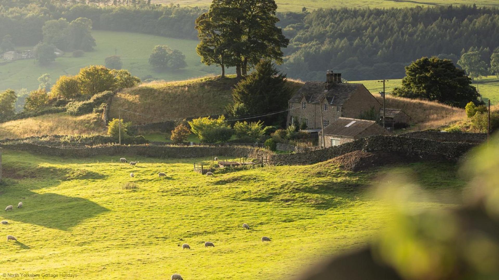 Deer View Lodge Close To Pickering Exteriör bild